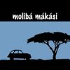 Logo of the association Moliba Makasi